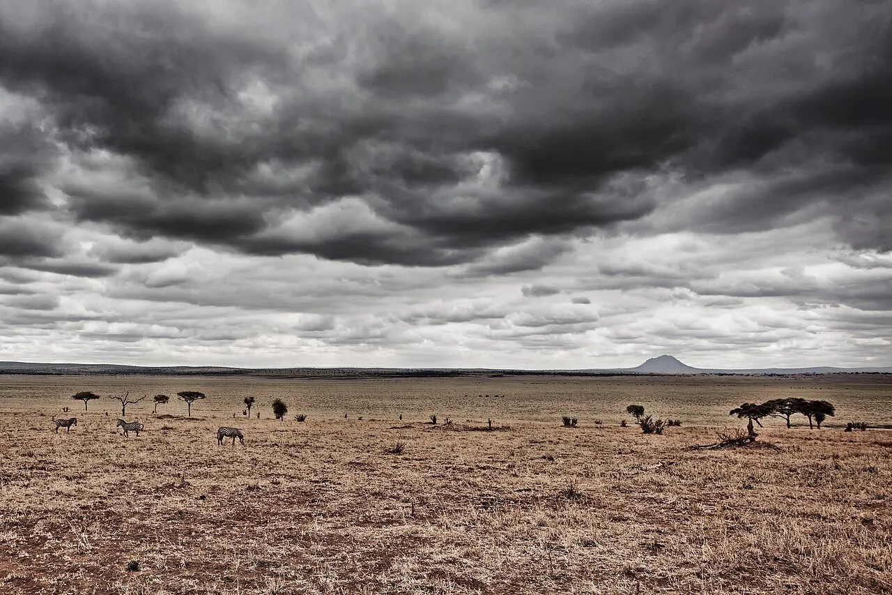 A towering, dramatic storm sky over the open Serengeti plains dotted with acacia trees